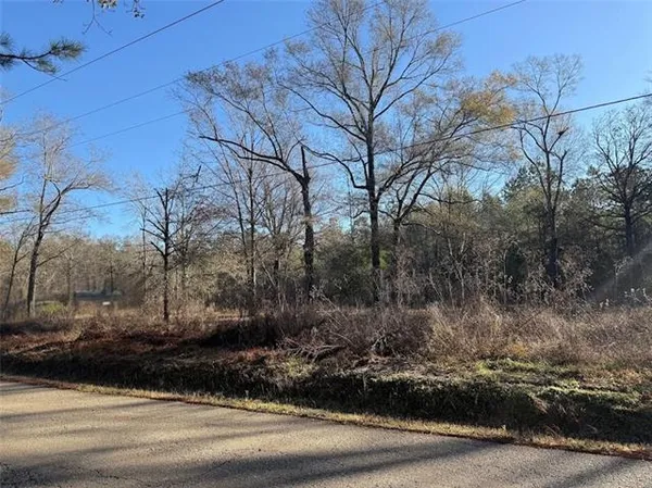 $125,000 | 25230 Firetower Road, Holden, LA 70744