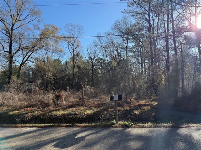 25230 Firetower Road Holden, LA 70744 - Photo 2 of 6