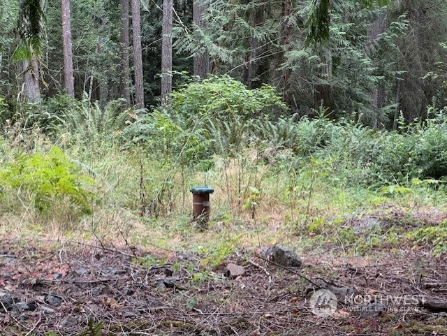 226 Northeast Serena Road Poulsbo, WA 98370 - Photo 3 of 6 Gallery Image 3