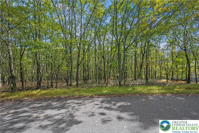 $37,000 | 0 Stone Ridge, Albrightsville, PA 18210