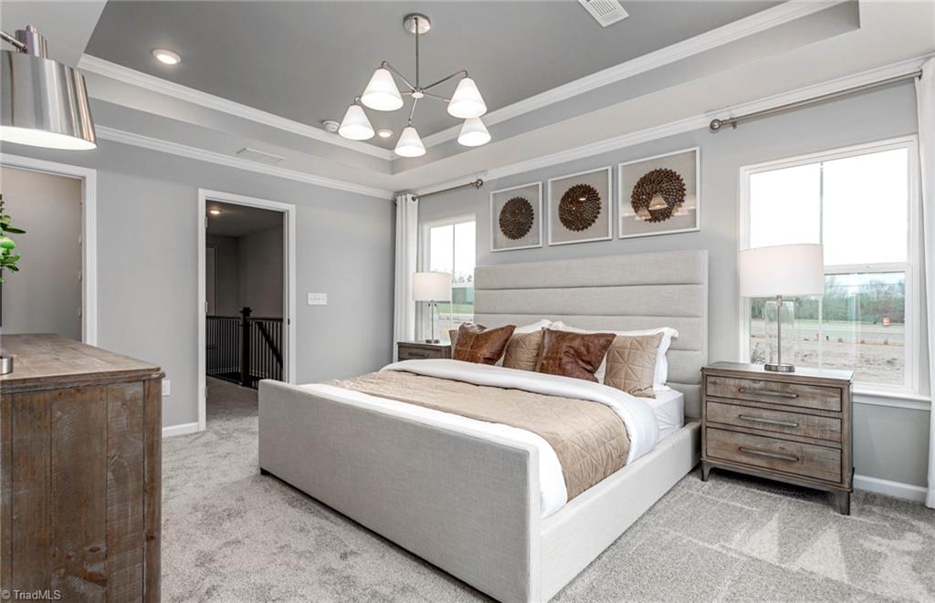 802 Falls Grove Trail High Point, NC 27265 - Photo 10 of 18