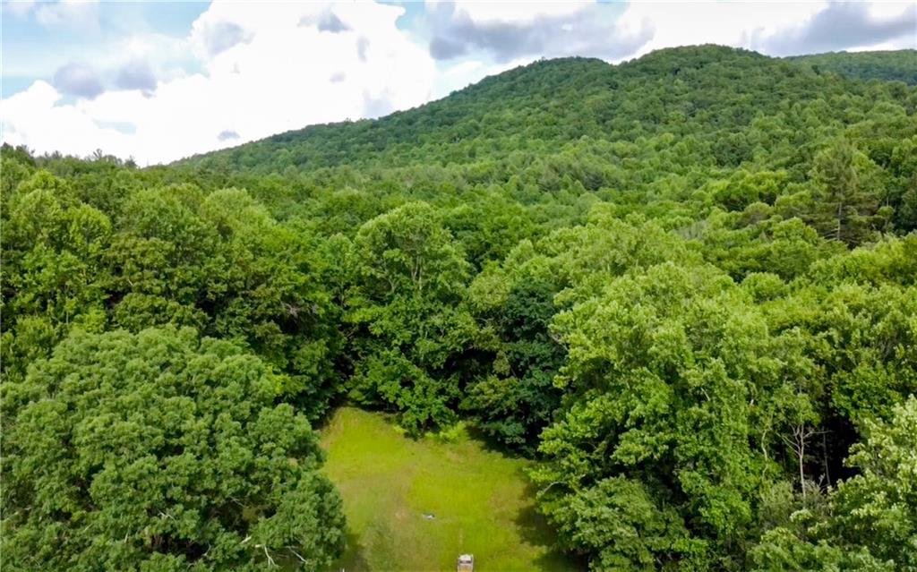 239 Glen Elliott Road Suches, GA 30572 - Photo 23 of 32
