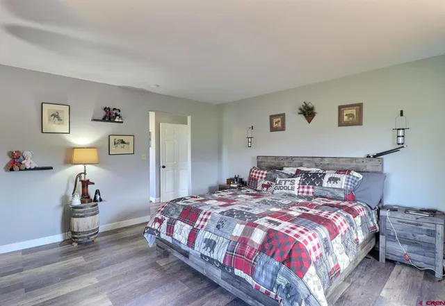 a bedroom with a bed and closet