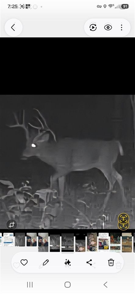15303 Seymour Road Grass Lake, MI 49240 - Photo 93 of 98