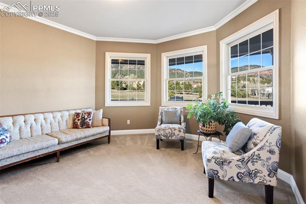 931 Forest View Road Monument, CO 80132 - Photo 10 of 50 a living room with furniture and windows