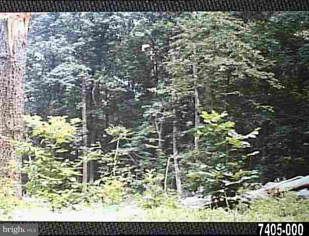 0 Winters Road Windsor, PA 17366 - Photo 1 of 1