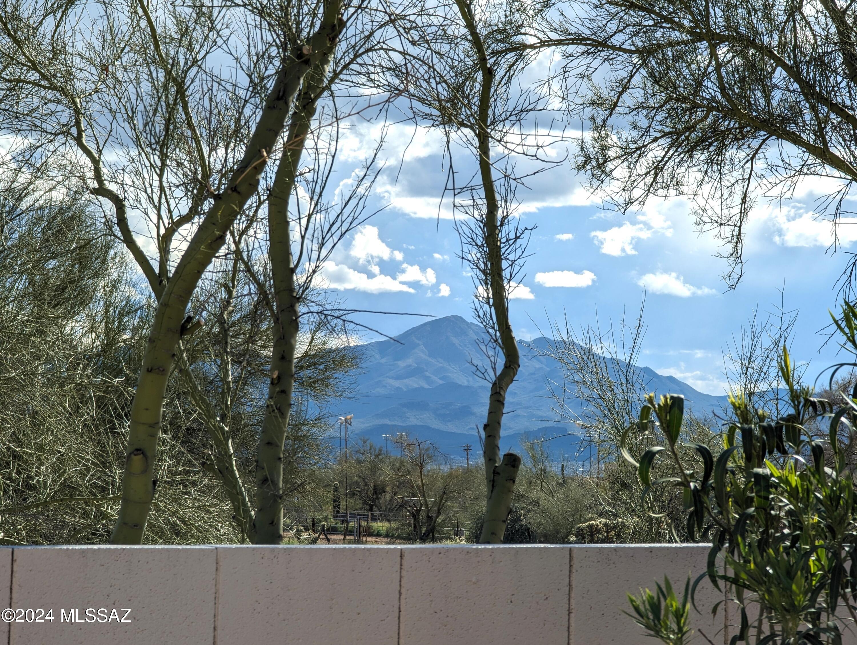 3589 West Thundercloud Loop Tucson, AZ 85742 - Photo 4 of 34