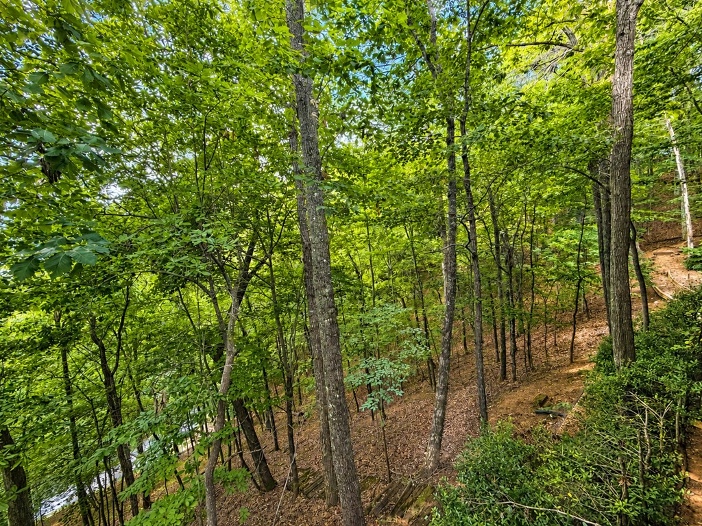 629 My Mountain Road Morganton, GA 30560 - Photo 39 of 39