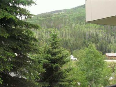 1100 Lions Ridge Loop, Unit 2313 Vail, CO 81657 - Photo 6 of 8 Additional Photo