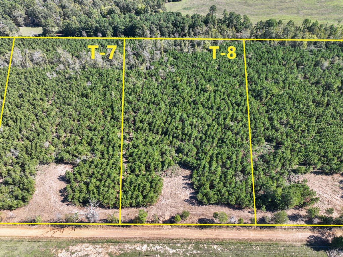 8 County Road 3121 Long Branch, TX 75669 - Photo 4 of 17