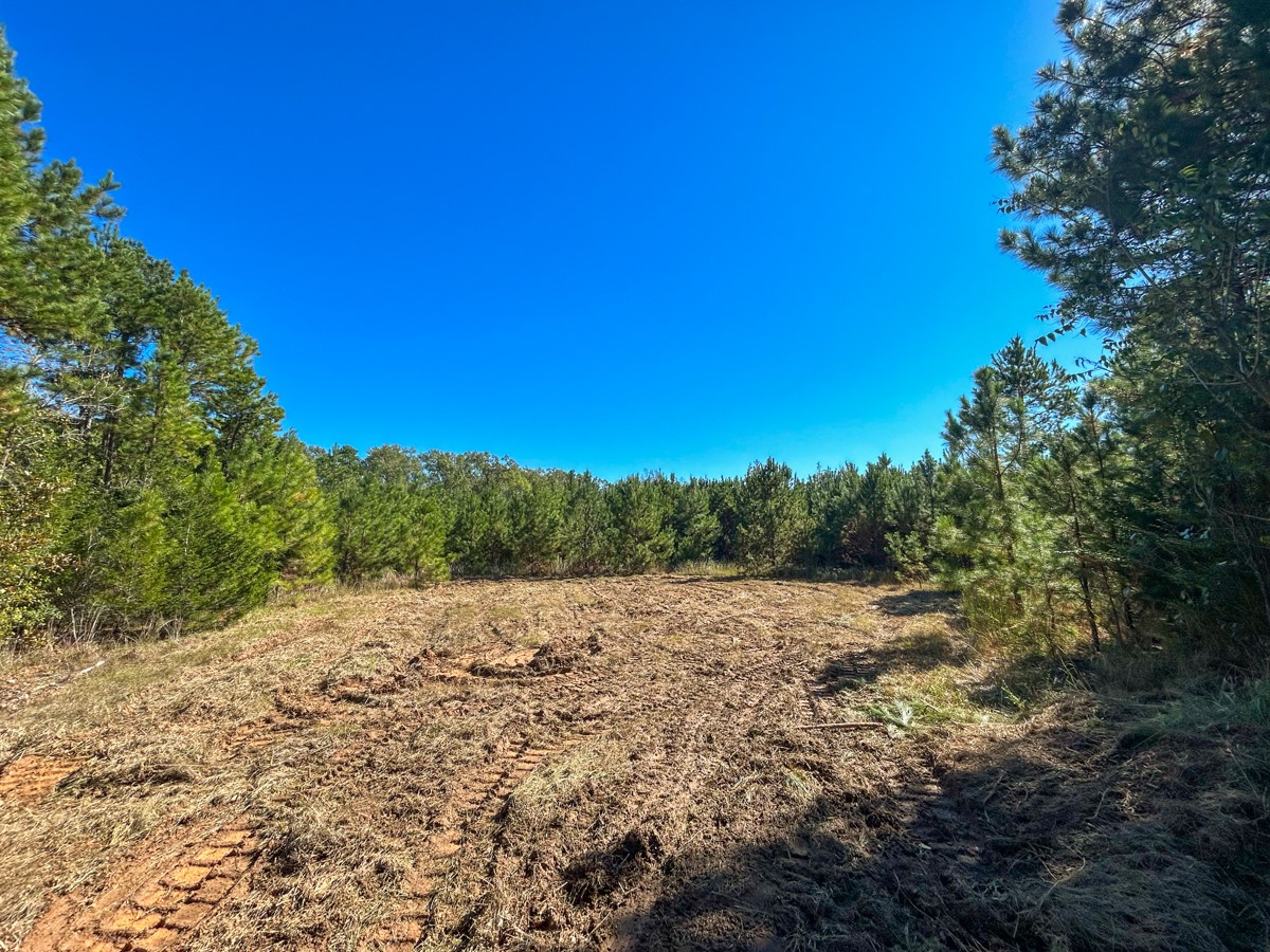 8 County Road 3121 Long Branch, TX 75669 - Photo 9 of 17