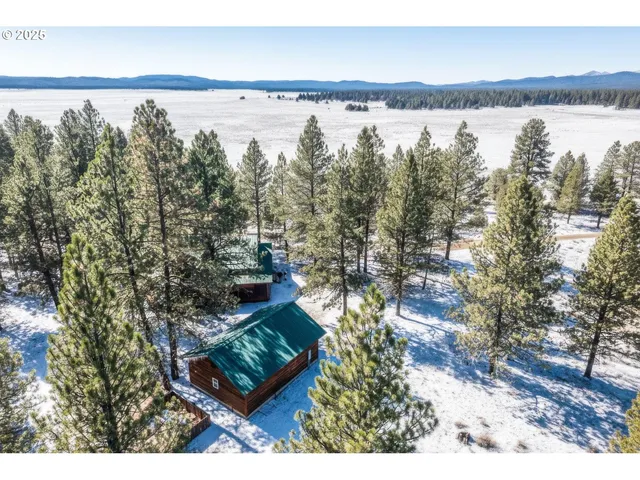 a view of a city and lake from a yard