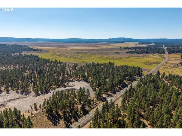 a view of a couch in the backyard