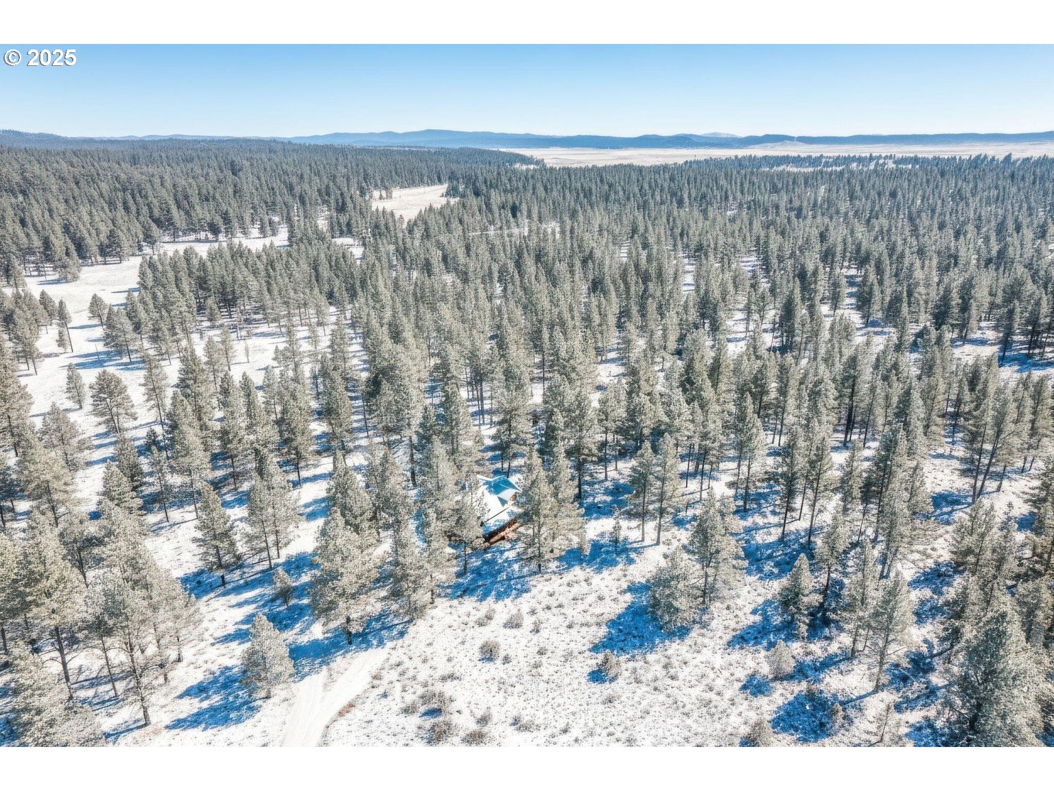 20779 Bear Gulch Road Canyon City, OR 97820 - Photo 35 of 35 a view of wooden floor
