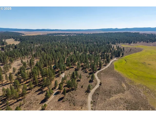 a view of a yard and ocean view