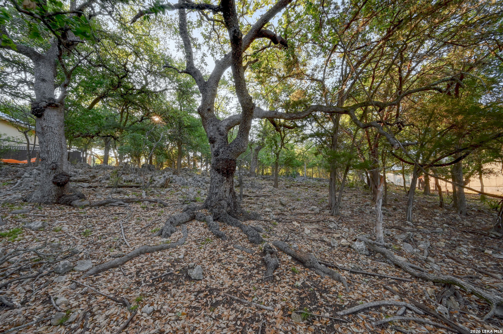 315 Rittimann Road Spring Branch, TX 78070 - Photo 47 of 51