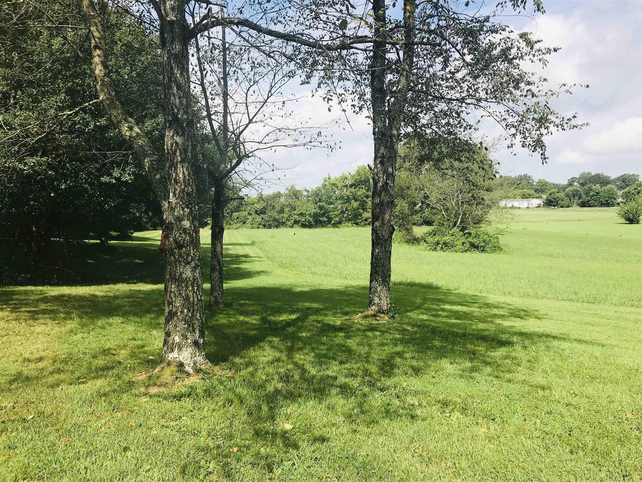 5133 Youngville Road Springfield, TN 37172 - Photo 2 of 6 FABULOUS LAND with Nice Views!