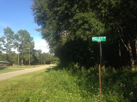 0 East Ellison Road Perry, FL 32347 - Photo 3 of 4