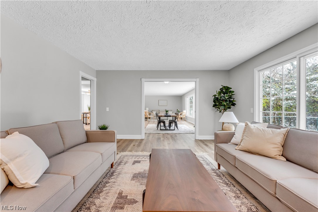 5025 Clubside Road Lyndhurst, OH 44124 - Photo 5 of 35 Living room featuring a healthy amount of sunlight, a textured ceiling, and light hardwood / wood-style floors