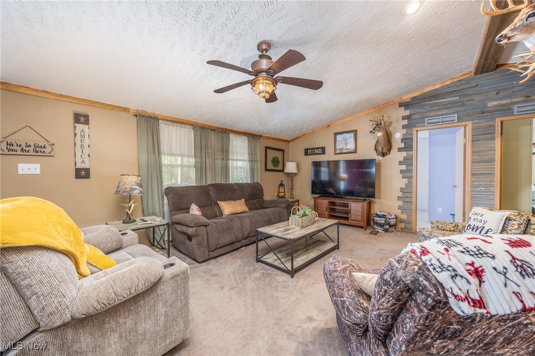 1788 Rosenbush Road Newport, OH 45768 - Photo 12 of 34 Living room with vaulted ceiling, a textured ceiling, carpet flooring, ceiling fan, and ornamental molding