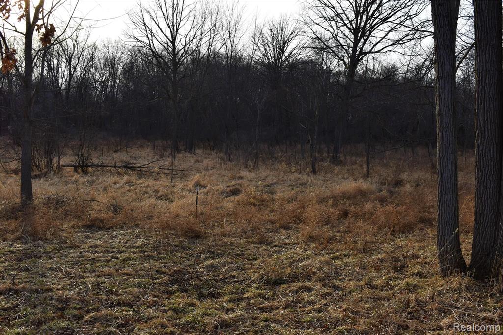 0 Bull Run Road Fowlerville, MI 48836 - Photo 5 of 10 Gallery Image 5