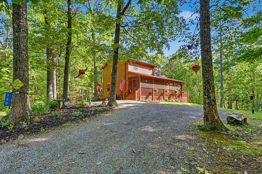 340 Vista Hills Road Murphy, NC 28906 - Photo 4 of 56