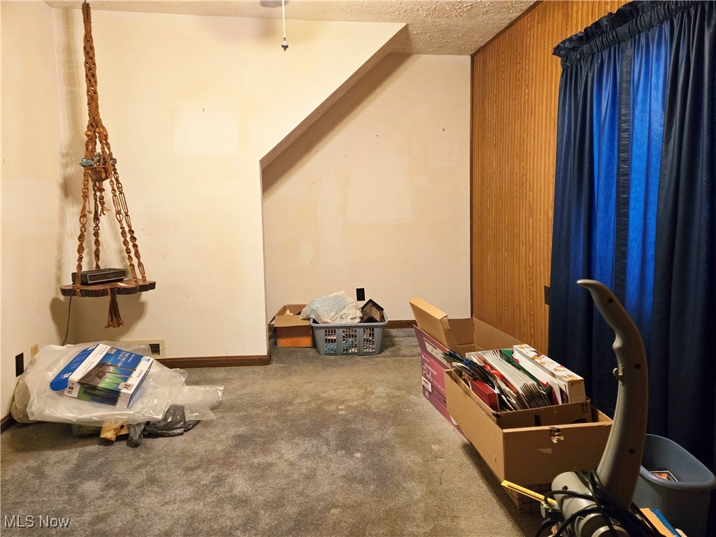 195 Mornington Road Vermilion, OH 44089 - Photo 12 of 21 room featuring carpet floors and wooden walls