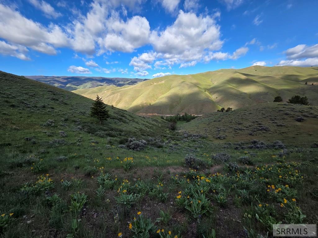 Nkn East Tower Creek Road Carmen, ID 83462 - Photo 29 of 63