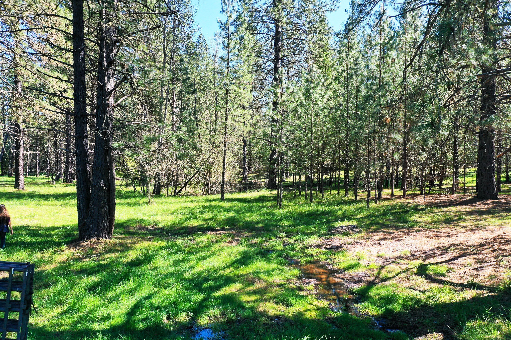 1035 Minthorne Road Rogue River, OR 97537 - Photo 35 of 41 Pond-Meadow_DJI_0993