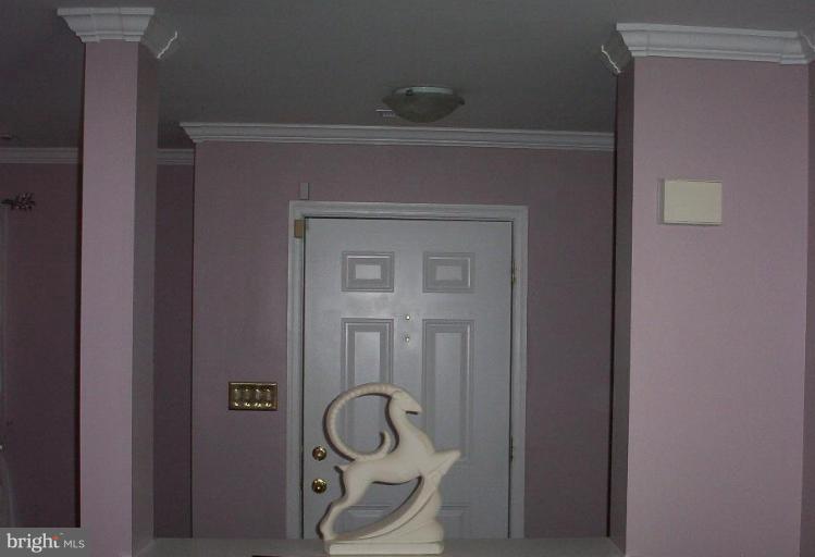 4200 Red Ridge Way, Unit 4200 Randallstown, MD 21133 - Photo 14 of 27 Entrance / Foyer
