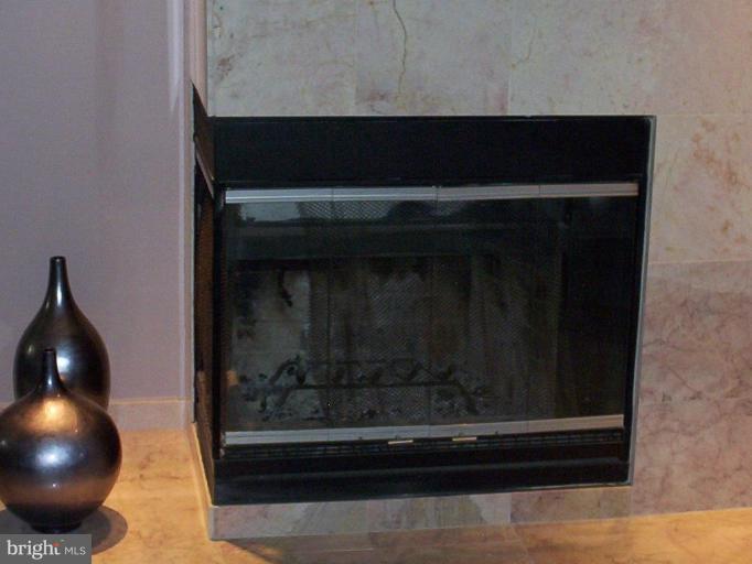 4200 Red Ridge Way, Unit 4200 Randallstown, MD 21133 - Photo 10 of 27 fireplace