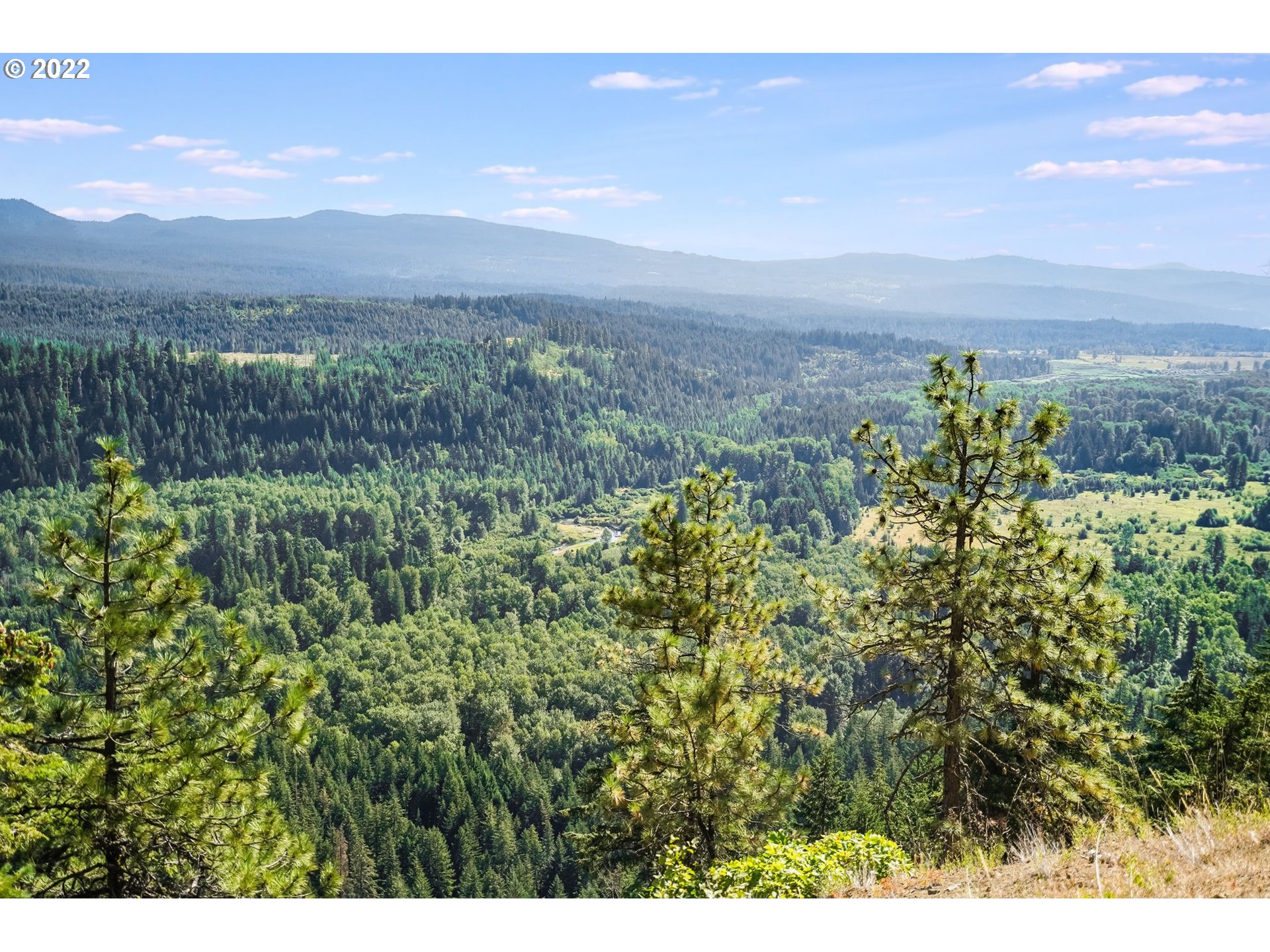 277 Trout Lake Creek Road Trout Lake, WA 98650 - Photo 13 of 35 a view of a city with lush green forest