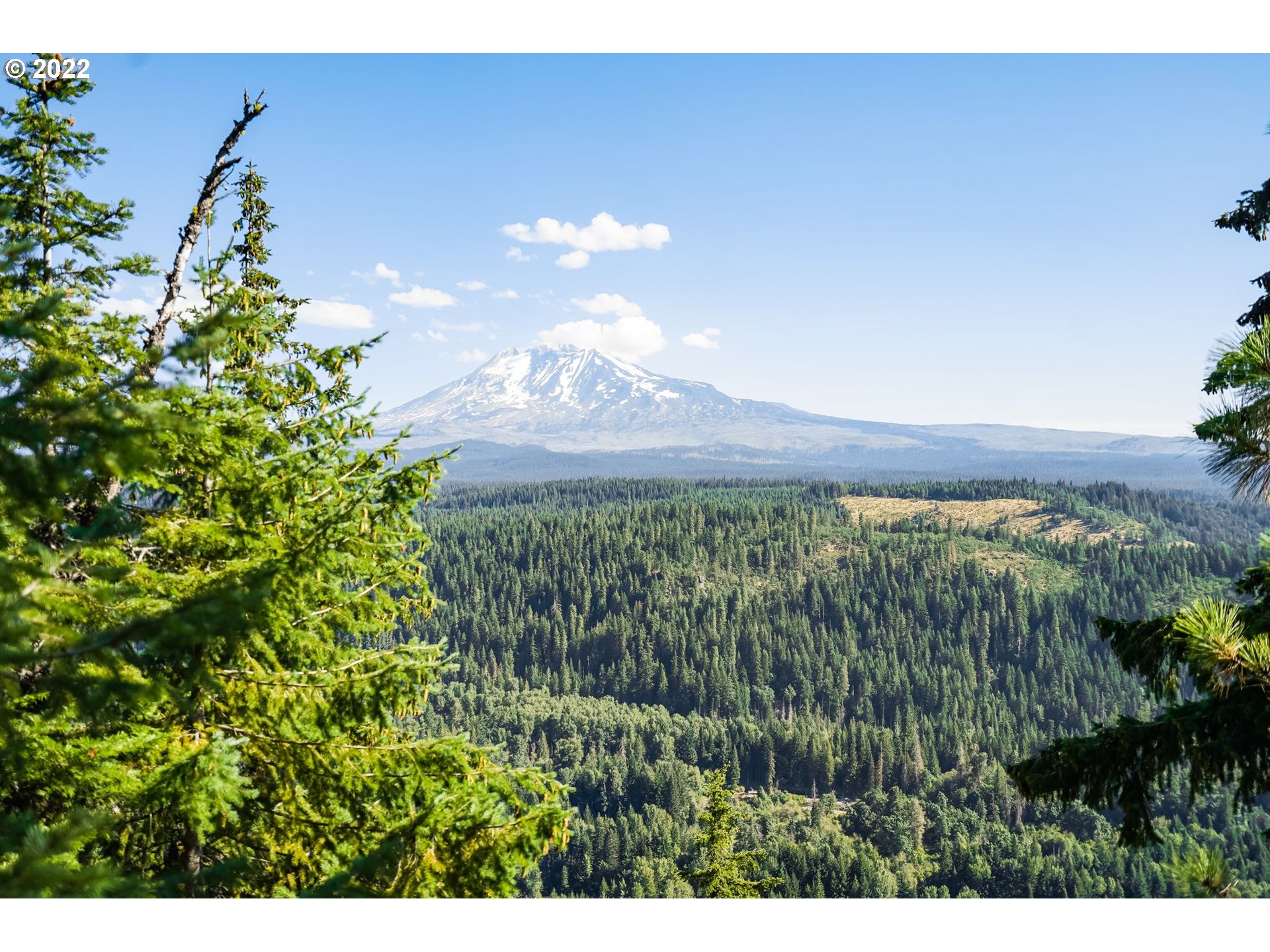 277 Trout Lake Creek Road Trout Lake, WA 98650 - Photo 5 of 35 a view of a yard