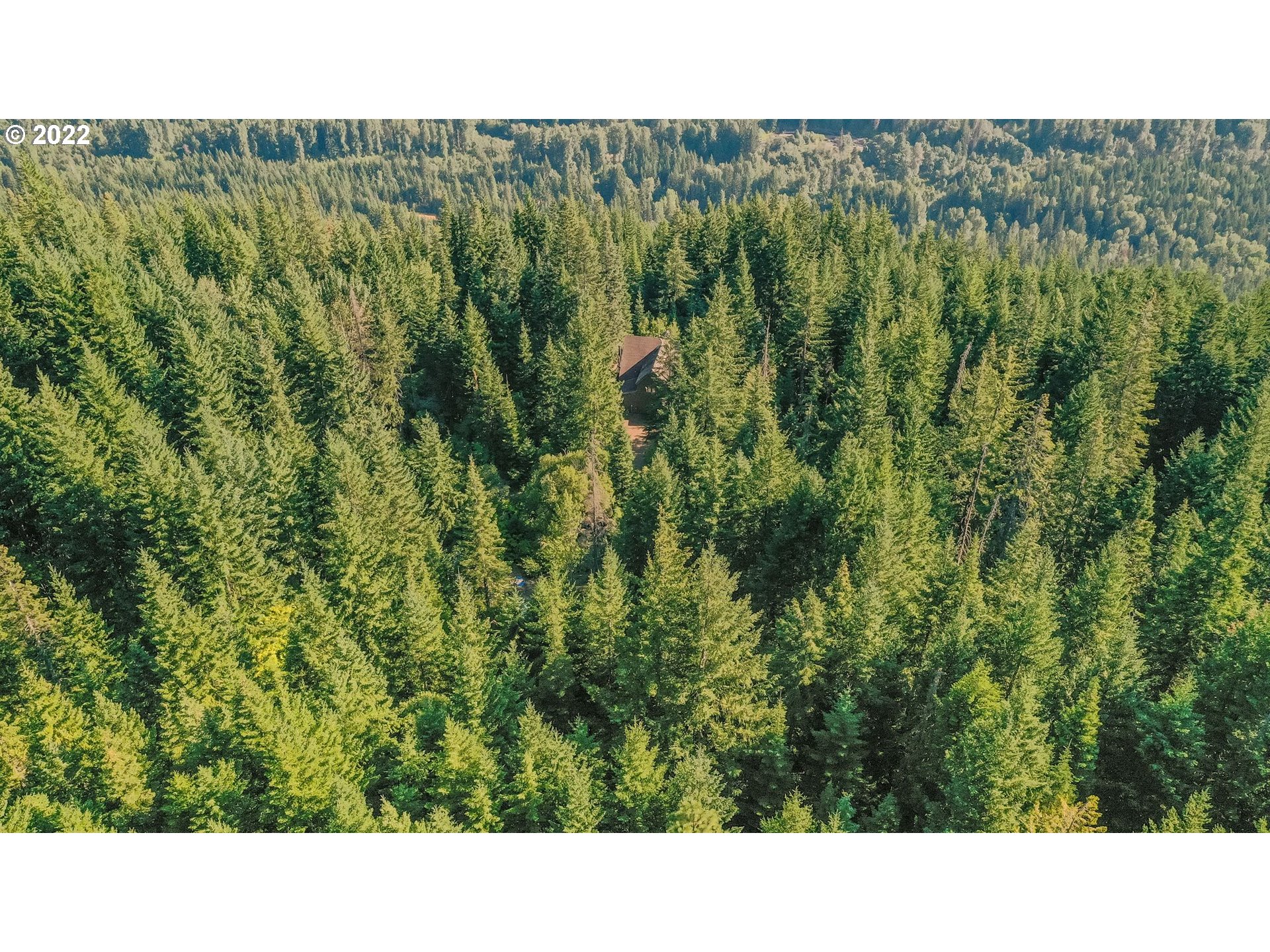 277 Trout Lake Creek Road Trout Lake, WA 98650 - Photo 9 of 35 a black and white photo of a green field
