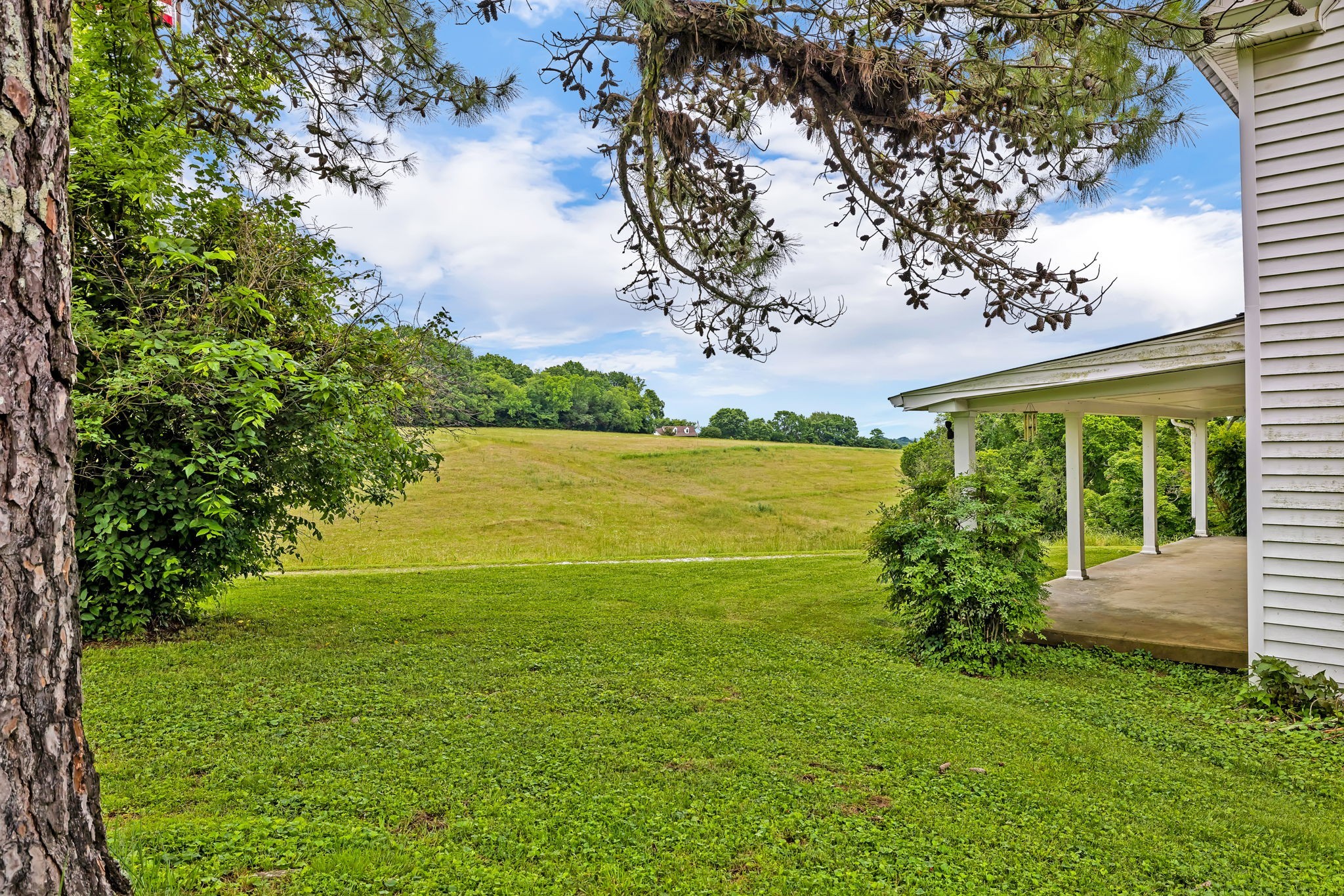 9591 Clovercroft Road Franklin, TN 37067 - Photo 38 of 70