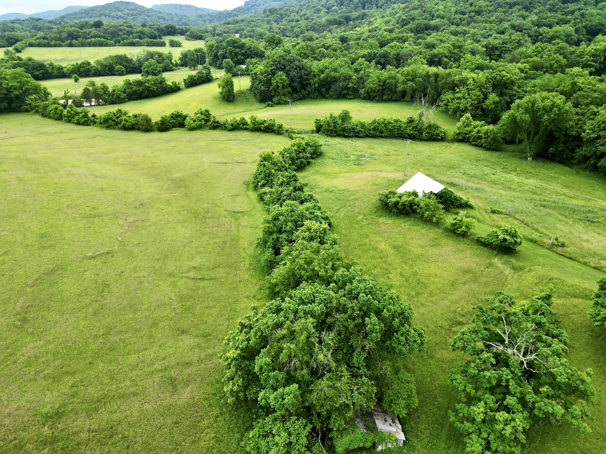 9591 Clovercroft Road Franklin, TN 37067 - Photo 39 of 70