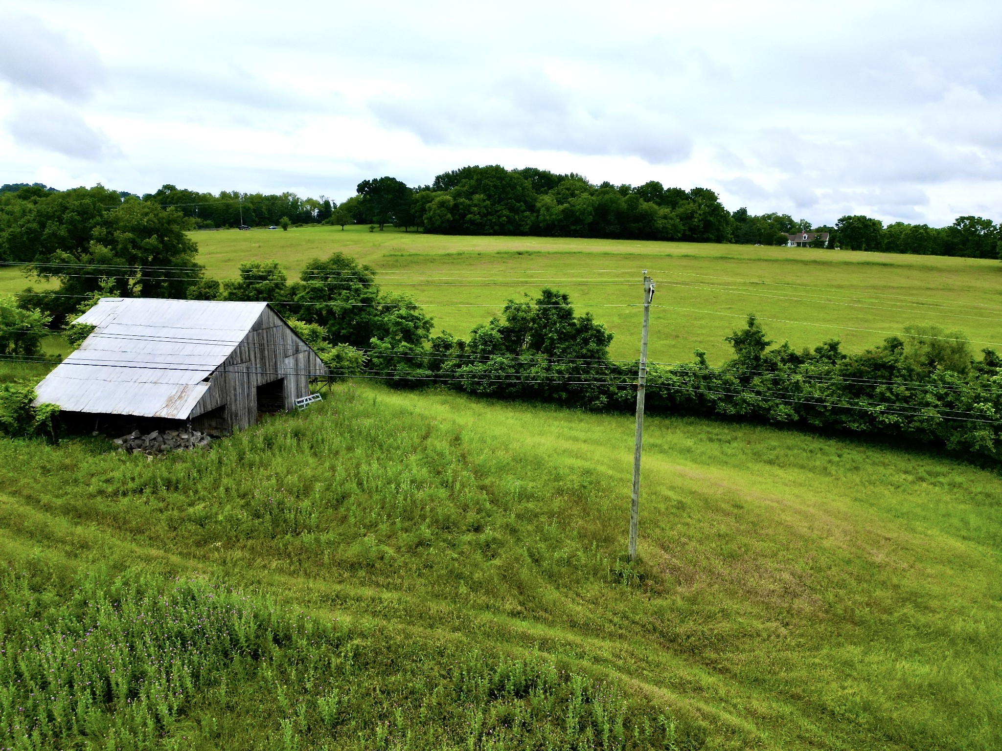 9591 Clovercroft Road Franklin, TN 37067 - Photo 42 of 70