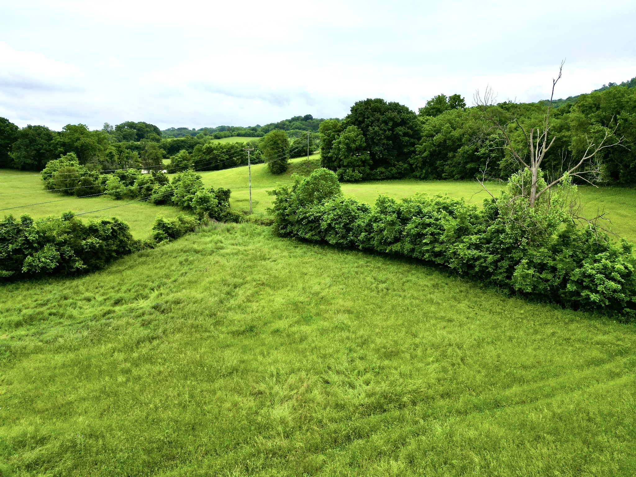 9591 Clovercroft Road Franklin, TN 37067 - Photo 44 of 70