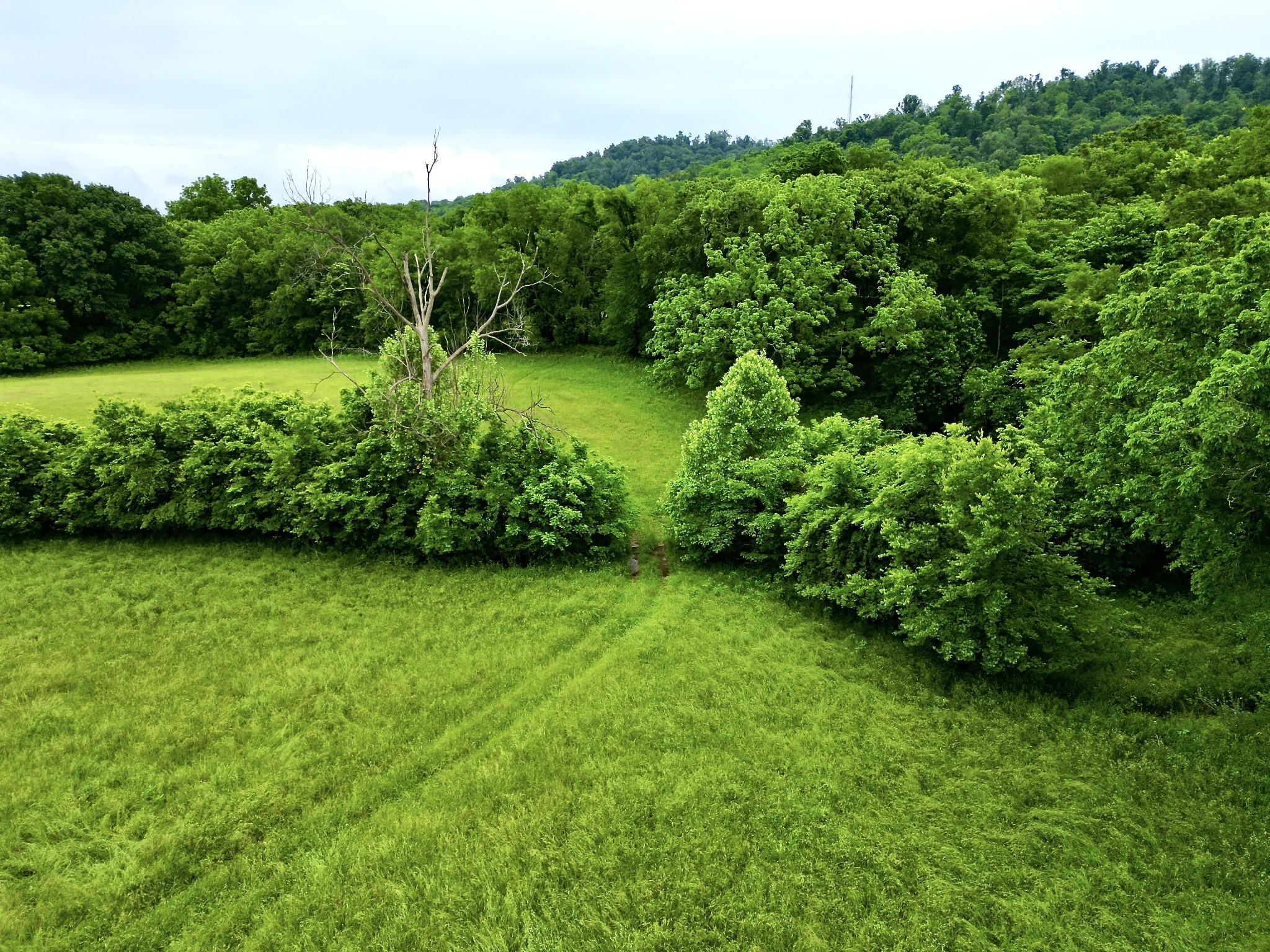 9591 Clovercroft Road Franklin, TN 37067 - Photo 45 of 70