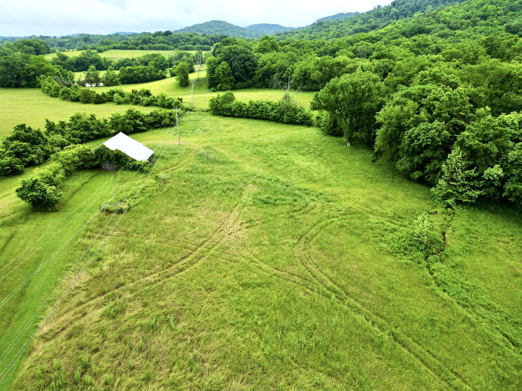 9591 Clovercroft Road Franklin, TN 37067 - Photo 46 of 70