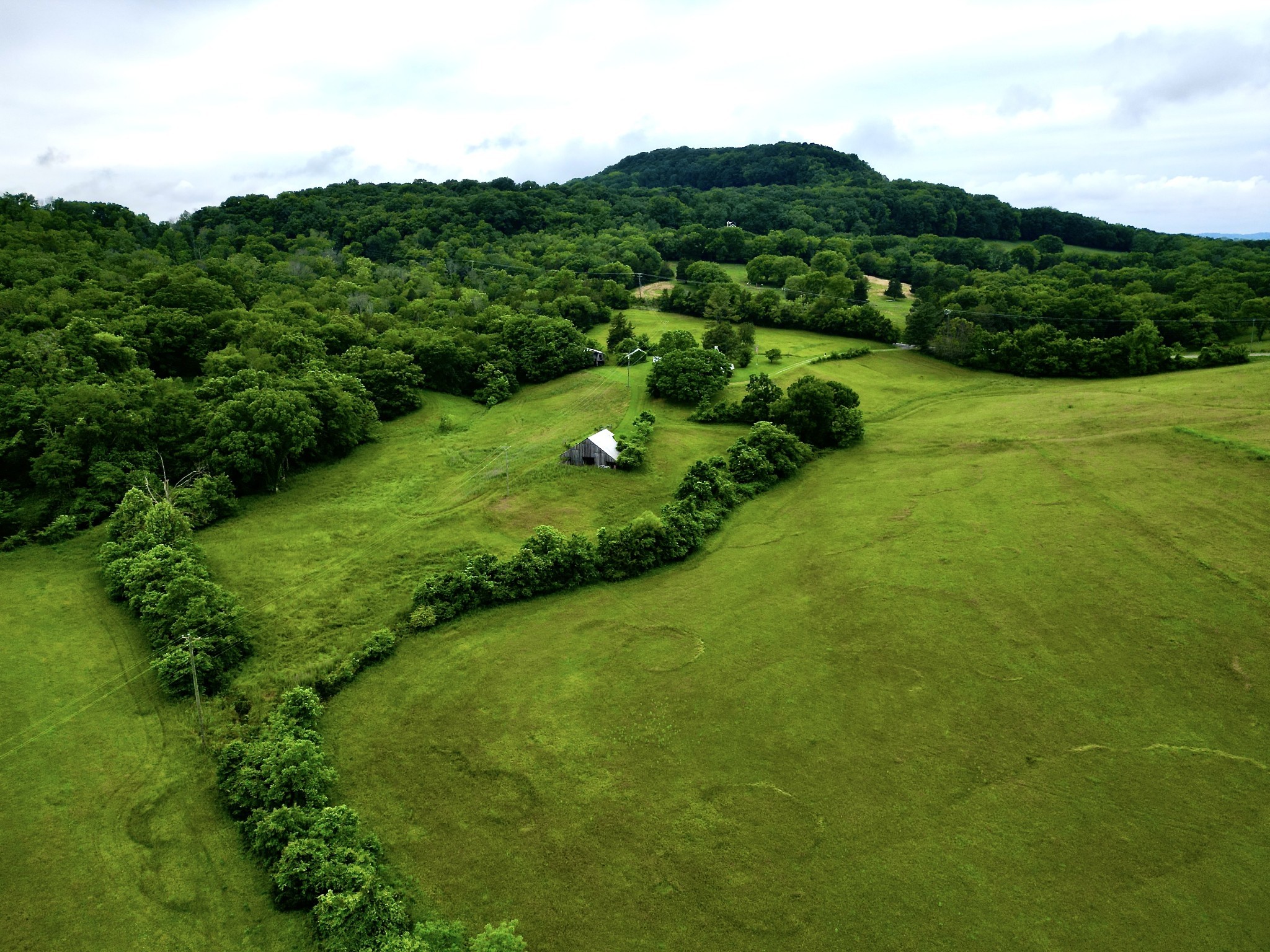 9591 Clovercroft Road Franklin, TN 37067 - Photo 49 of 70
