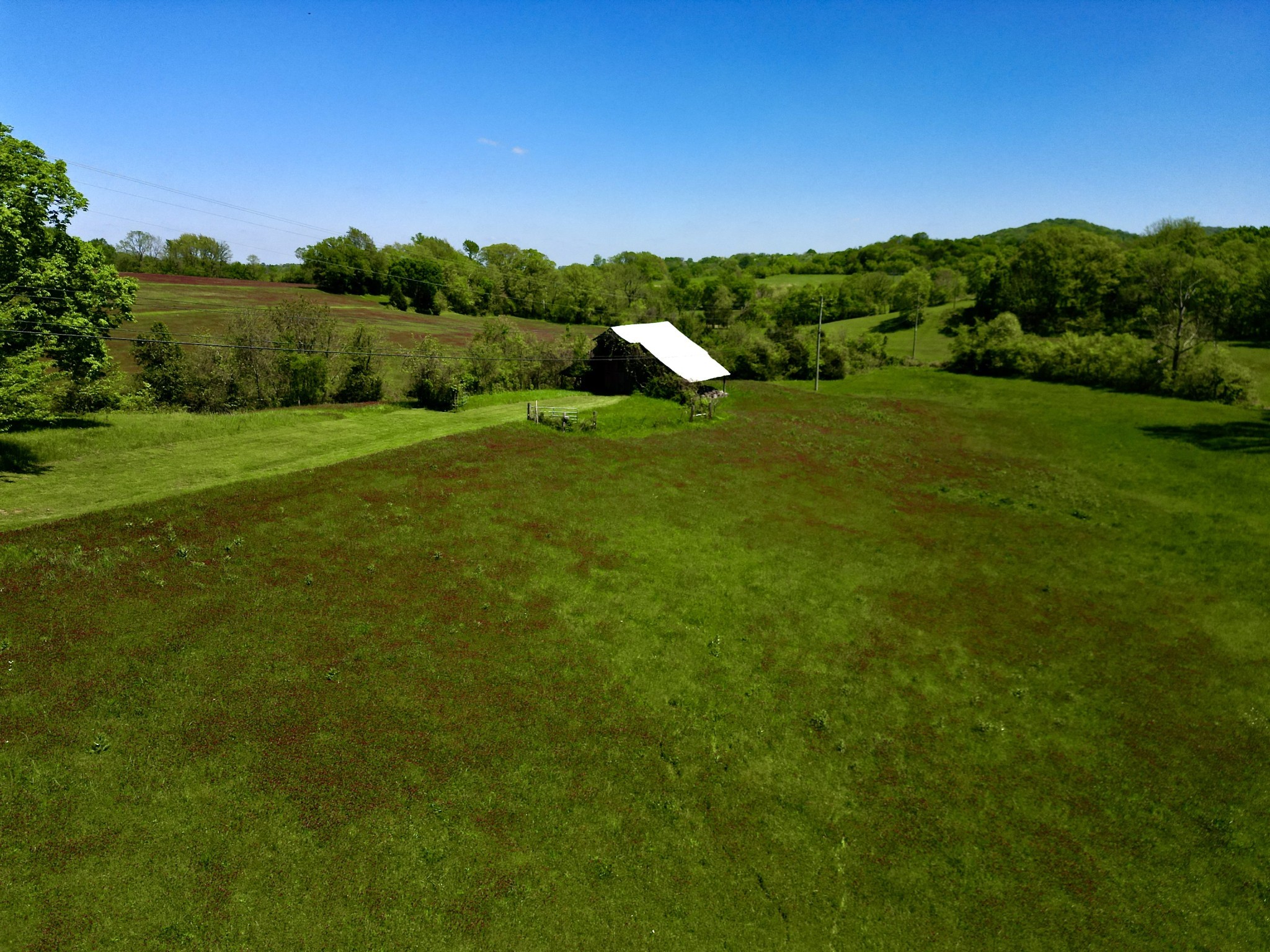 9591 Clovercroft Road Franklin, TN 37067 - Photo 53 of 70