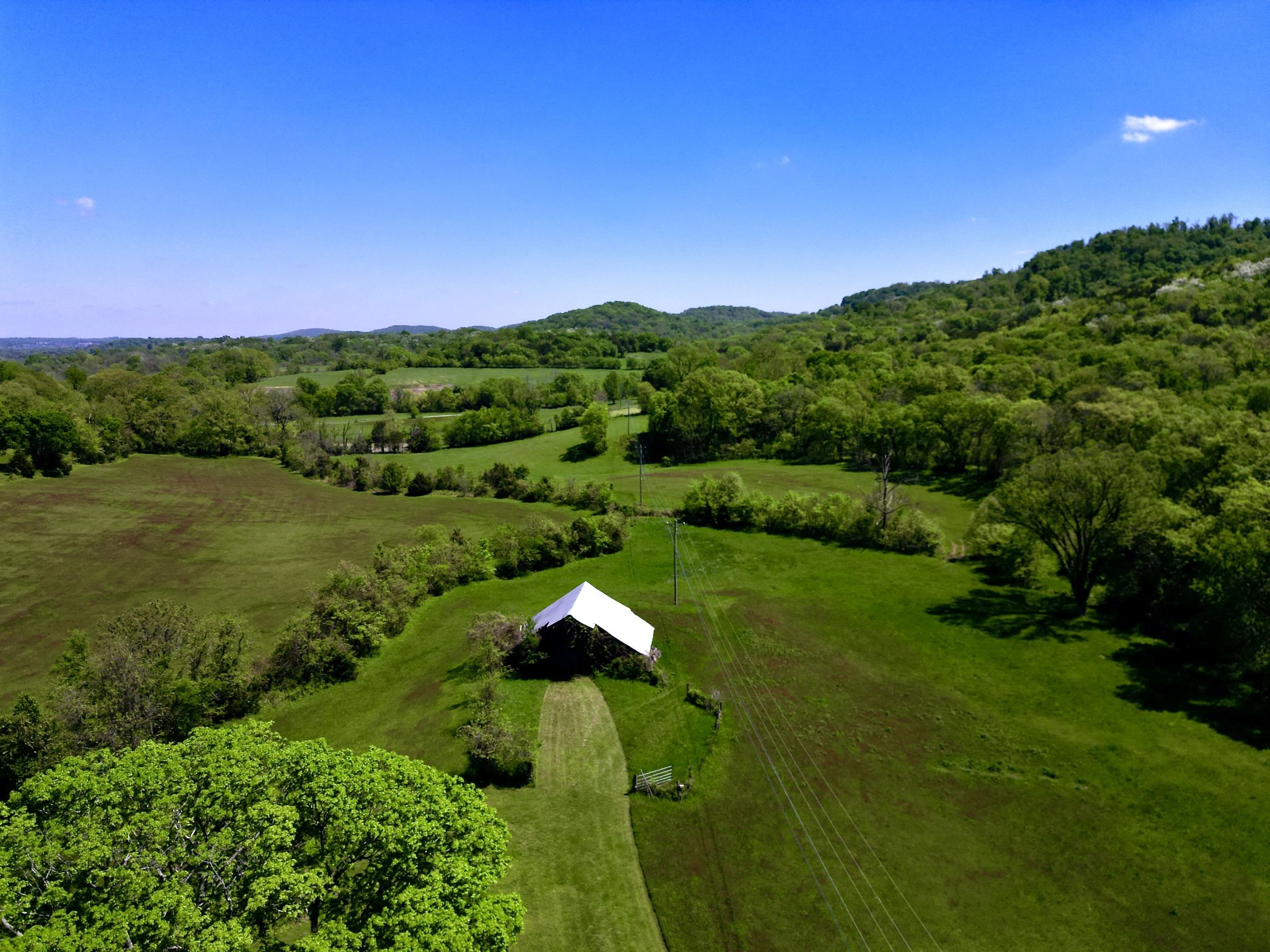 9591 Clovercroft Road Franklin, TN 37067 - Photo 54 of 70