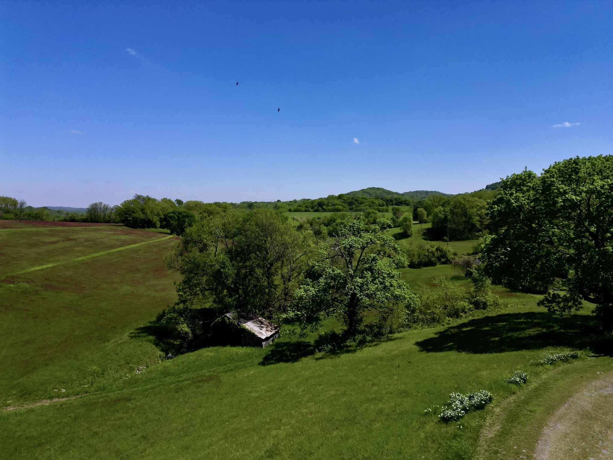 9591 Clovercroft Road Franklin, TN 37067 - Photo 59 of 70