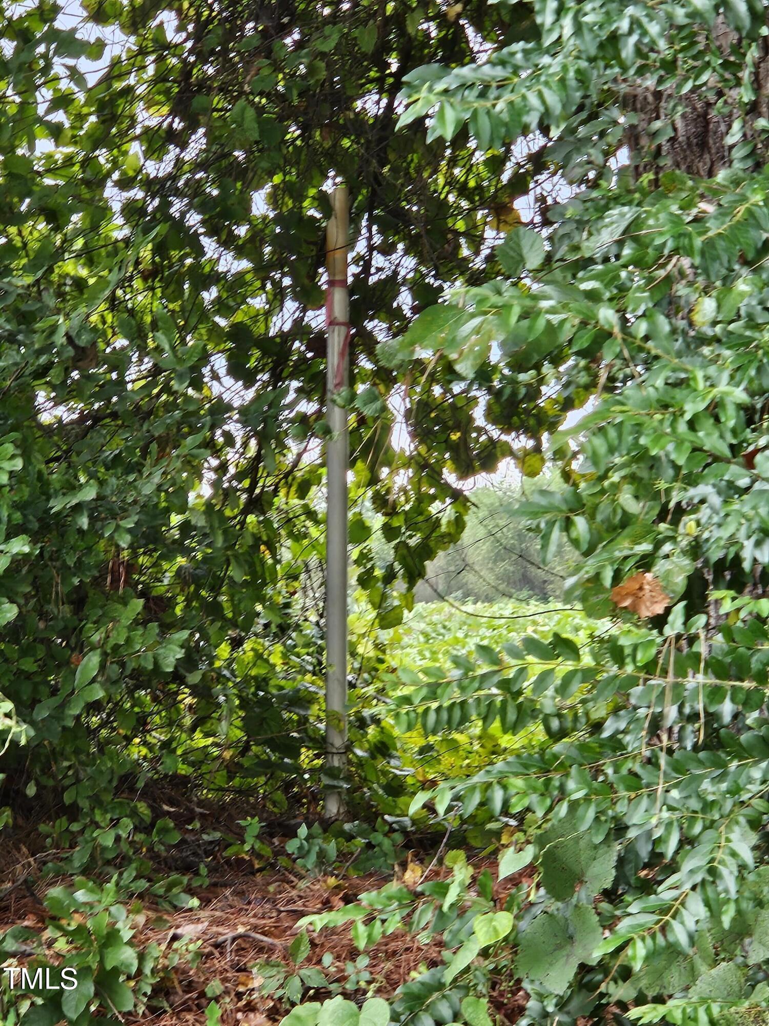 0 Union Grove Church Road Dunn, NC 28334 - Photo 2 of 6 20240913_132749