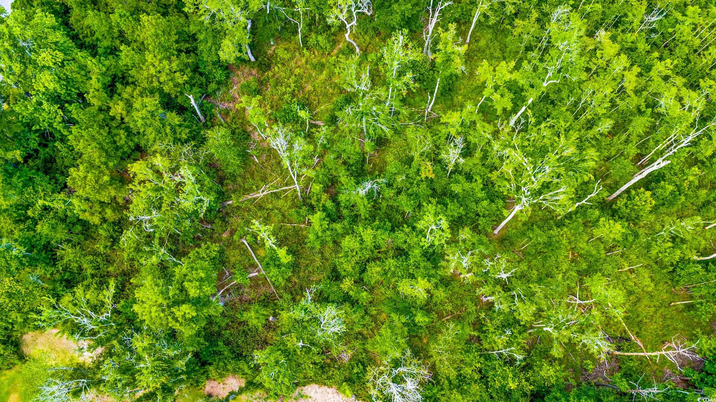 111 Southwest Little River Little River, SC 29566 - Photo 12 of 26