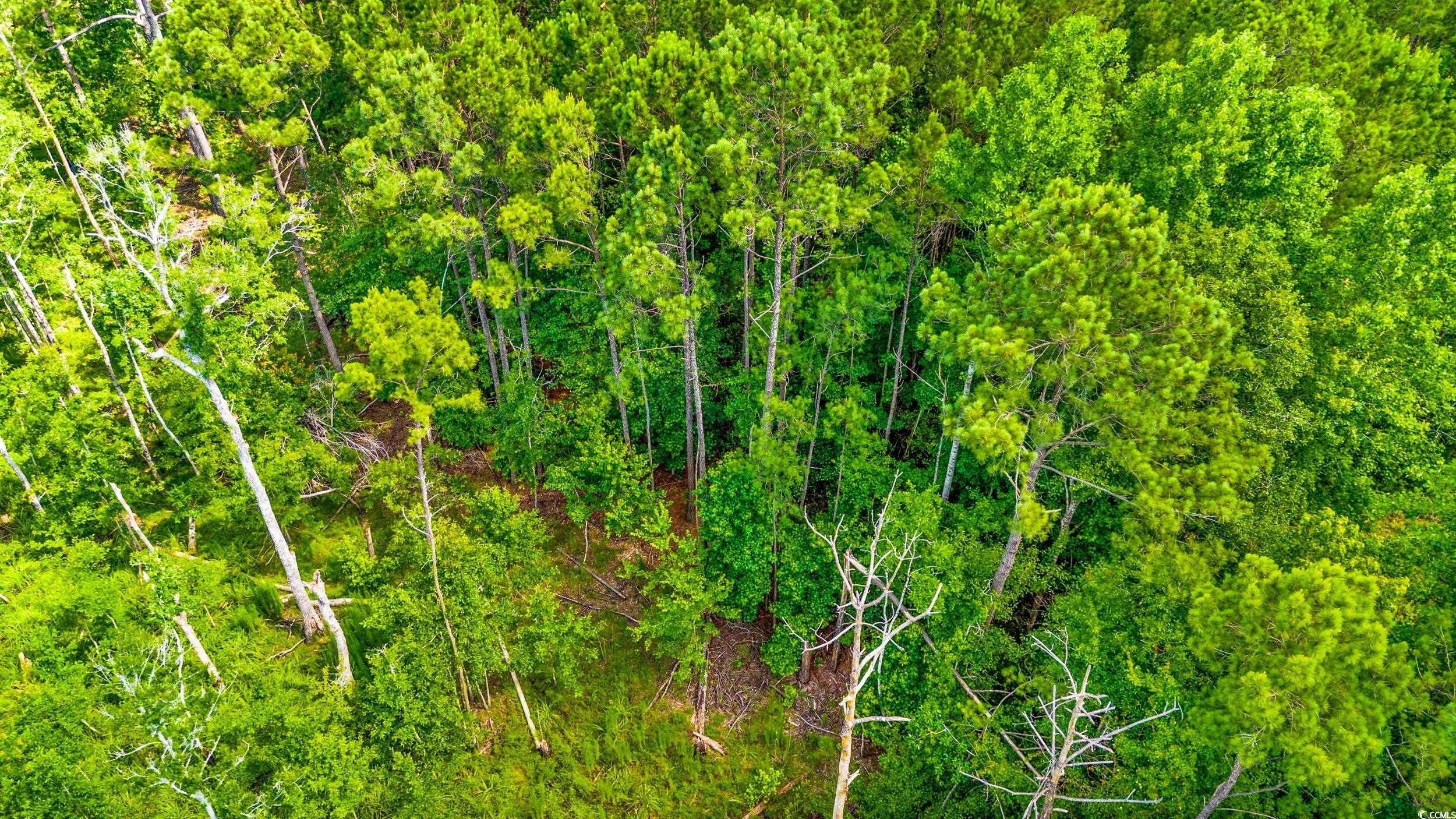 111 Southwest Little River Little River, SC 29566 - Photo 13 of 26