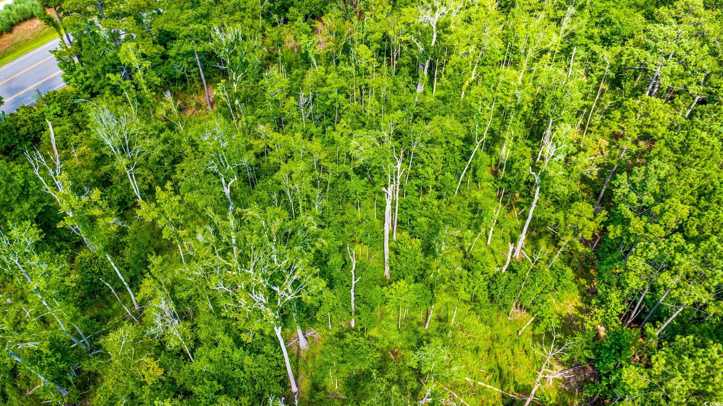 111 Southwest Little River Little River, SC 29566 - Photo 14 of 26