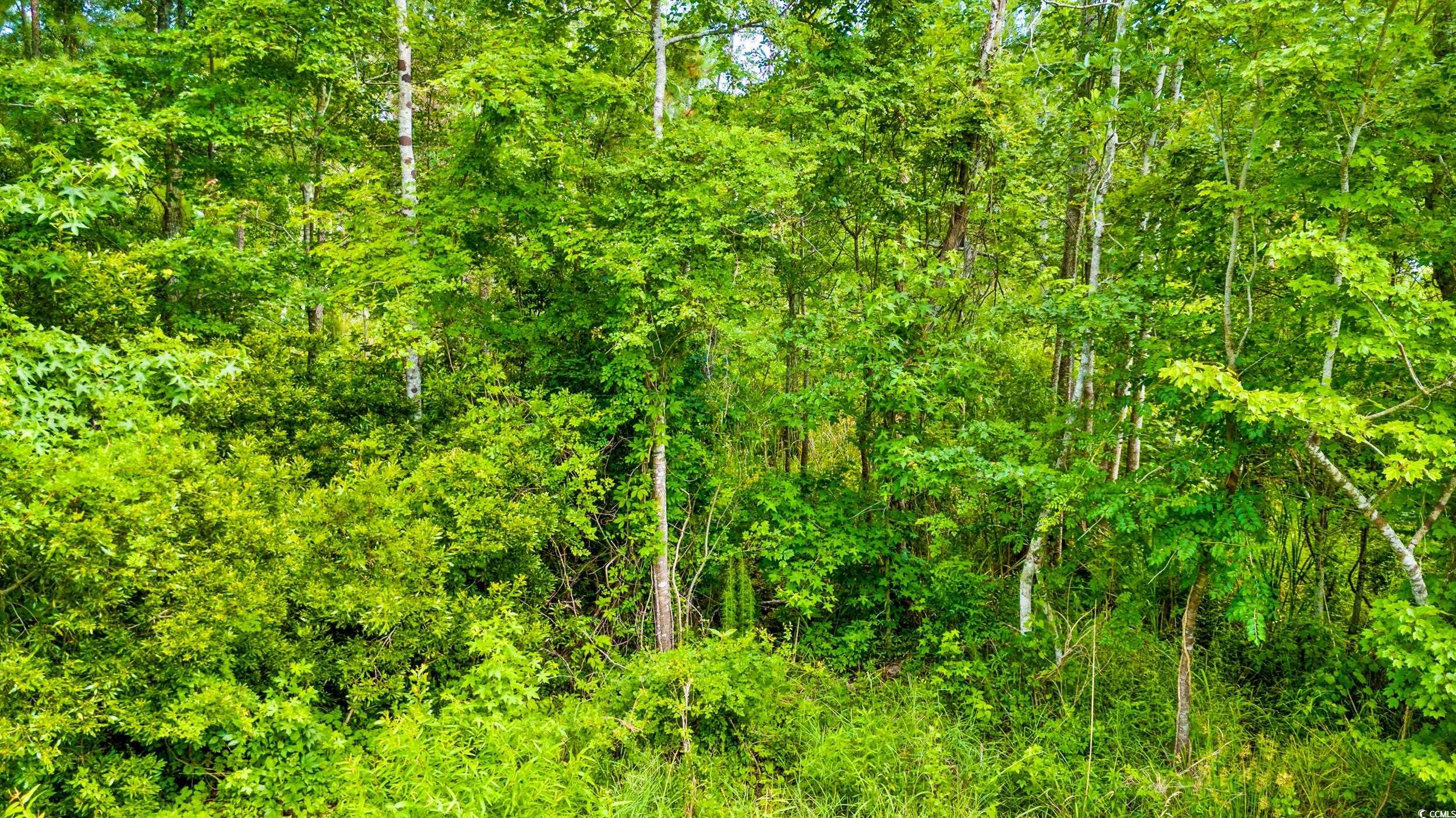 111 Southwest Little River Little River, SC 29566 - Photo 6 of 26