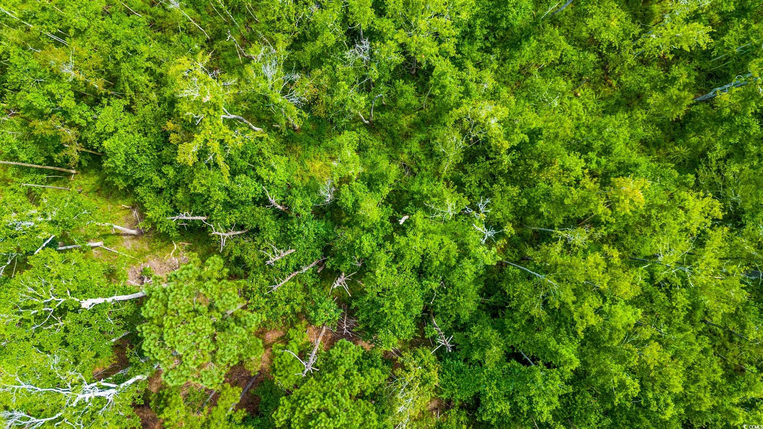 111 Southwest Little River Little River, SC 29566 - Photo 7 of 26